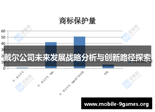 戴尔公司未来发展战略分析与创新路径探索