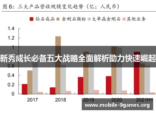 新秀成长必备五大战略全面解析助力快速崛起
