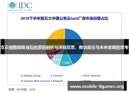 支云提前降级背后的原因剖析与深刻反思，教训启示与未来发展的思考