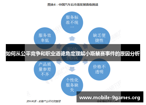 如何从公平竞争和职业道德角度理解小斯禁赛事件的原因分析