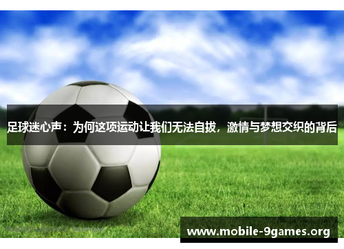 足球迷心声:为何这项运动让我们无法自拔,激情与梦想交织的背后 足球迷心声:为何这项运动让我们无法自拔,激情与梦想交织的背后