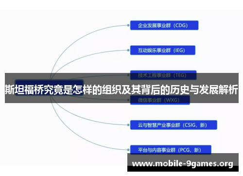 斯坦福桥究竟是怎样的组织及其背后的历史与发展解析